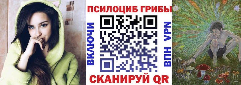 Галлюциногенные грибы Psilocybe  hydra   Бирюсинск 